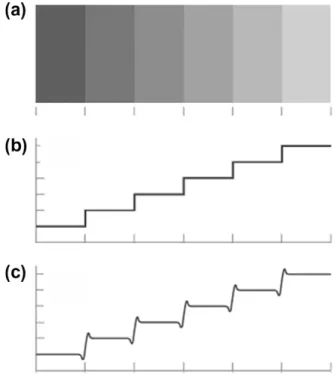 Fig. 4. Mach bands effect: (a) growing levels of intensity; (b) real intensity; (c) noticed intensity.