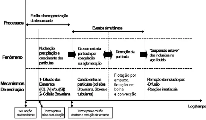 Figura 2.3 –  Mecanismos da evolução das inclusões no aço líquido. [17]