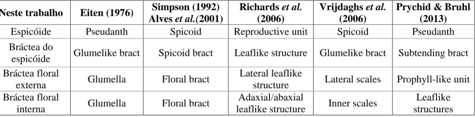 Tabela 1. Terminologia empregada para as estruturas das unidades reprodutivas de Mapanioideae 