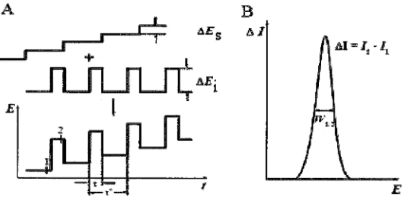 Figura  8.  A)  Esquema  de  aplicaqp  de  potenciais;  B)  Resposta típica: