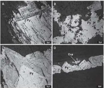 Figura 2  –  A: Cristal de pirite zonado (i,ii,iii) onde foi realizada a ablação laser; B: Mapeamento de Enxofre (S); C: 