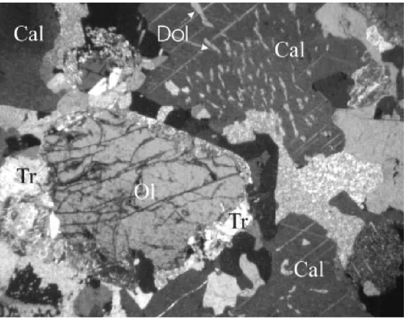 Figura 4: Fotomicrografia de olivina mármore, mostrando alteração da olivina (Ol) em tremolita (Tr)