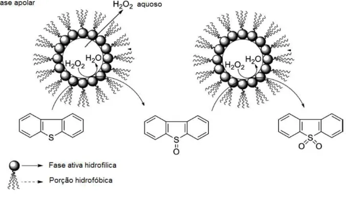 Figura 3.2. Oxidação de compostos sulfurados por H 2 O 2  utilizando catalisadores anfifílicos 