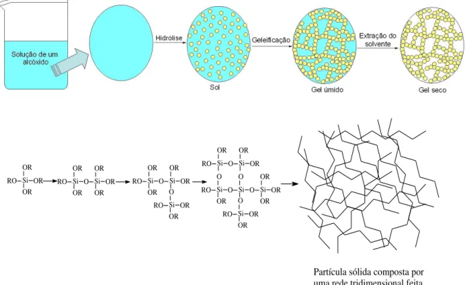 Figura 3.8. Representação crescimento da cadeia polimérica de sílica pelo processo sol-gel 