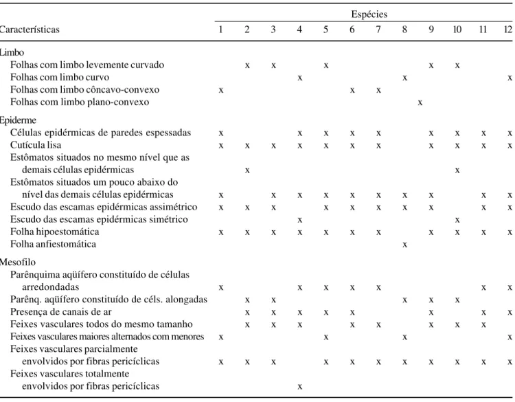 Tabela 1. Características anatômicas das folhas de Tillandsia L. dos Campos Gerais, PR, Brasil