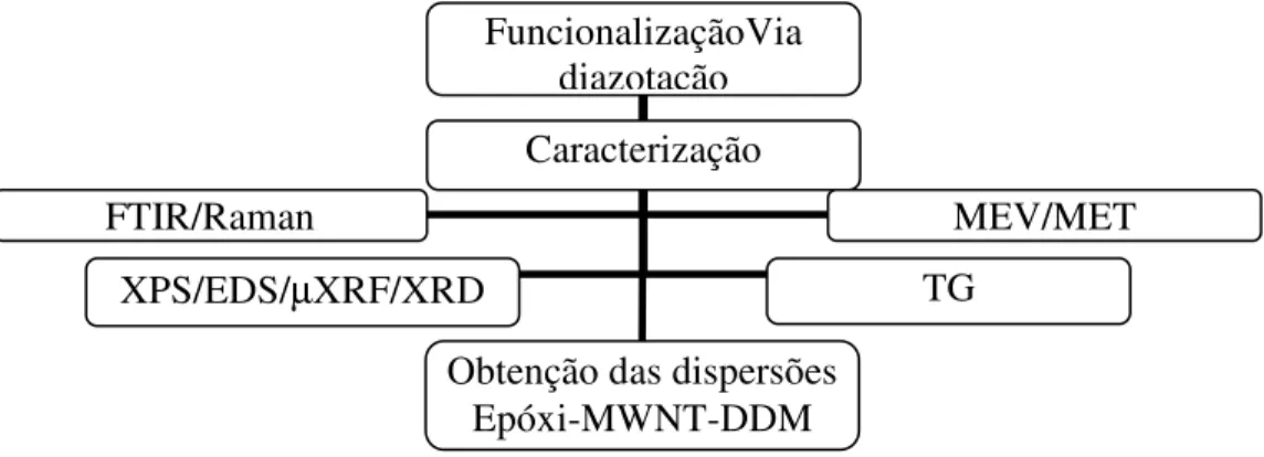 Figura 36 - Fluxograma para obtenção e caracterização de MWNTs funcionalizados e elaboração  das dispersões resina epóxi MWNT-DDM