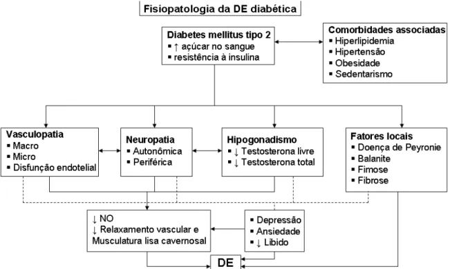 FIGURA 5 – Fisiopatologia da DE na diabetes.  ↓  indica redução;  ←  indica causa unidirecional;  ↔ indica causa bidirecional; DE = disfunção erétil; NO = óxido nítrico