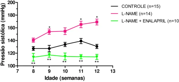 Gráfico 3 – (A) Pressão arterial sistólica (mmHg) de ratos controles, ratos tratados com L-NAME  (25  mg/kg/dia) e ratos tratados com L-NAME + enalapril (25 mg/kg/dia  + 30 mg/kg/dia)