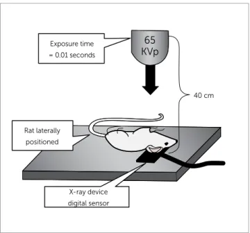 Figure 1 - Schematic representation of radiographs taken using the Visualix  Gx-S-HDI system