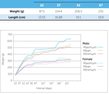 Figure 4 - Graphical representation of mean, minimum and maximum weight  for females and males.