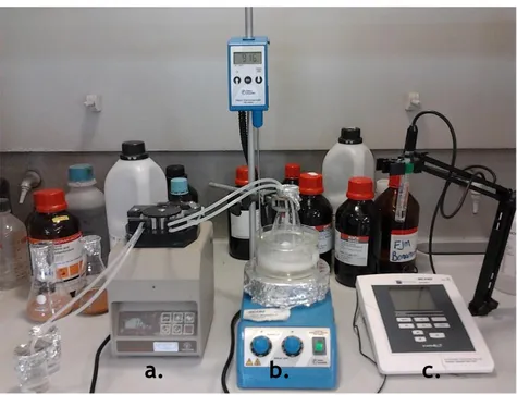 Figure  2.1  Representation  of  the  nanoparticles  fabrication  conditions.  a-Peristaltic  pump;  b- b-temperature controller and heating plate with magnetic stirrer; c-pH meter