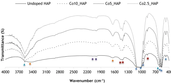 Figure  3.4  FTIR  spectra  of  nanoHAP  samples  with  different  percentages  of  (A)  Gd  (B)  Fe(II)  (C)  Fe(III) (D) Co doping and undoped HAP