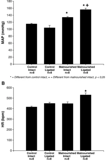 Fig. 1. A — Baseline mean arterial pressure in control (n= 8) and malnourished animals (n = 8) before (intact) and after (ligated) bilateral ligation of the carotid body artery