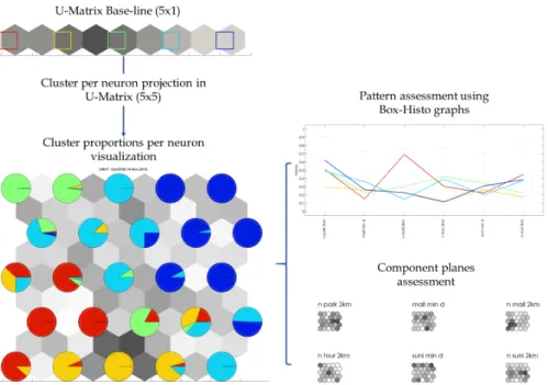 Figure 9. Strategy for the visualization of the initial clusters through cluster projection per  neuron from a U-Matrix base-line 