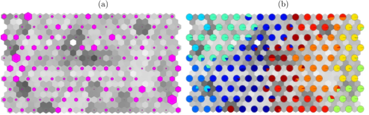 Figure 20. (a) GeoSOM U-Matrix 10 x 15 obtained with best parameter configuration, (b)  Reflected training pattern proportions from the 10 base-line clusters 