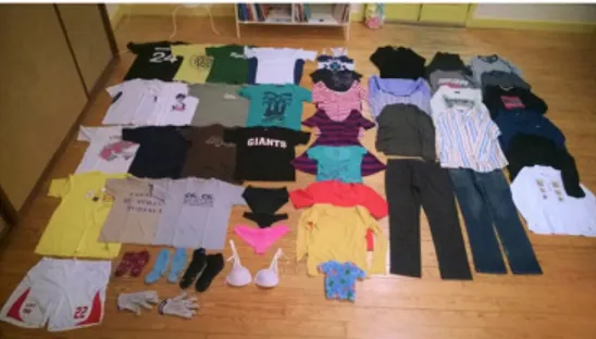 Figura 3 – 17 t-shirts, 1 short, 1 par de luvas, 3 pares de meias, 3  cuecas, 1 sutiã, 2 calças, 5 camisas, camisolas, blusa, casaco...