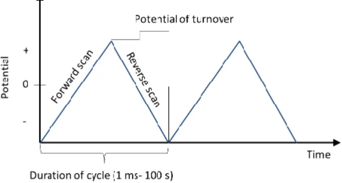 Figure 7 – Typical excitation signal for Cyclic Voltammetry [6]. 