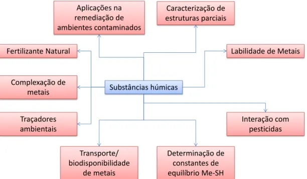 Figura 2-4 – Possibilidade de aplicação de substâncias húmicas tendo em vista a  proteção/recuperação ambiental (baseado em Rosa, 1998; 2001)