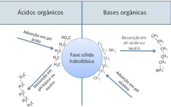 Figura 2-9 – Efeito do pH na ionização e solubilidade na adsorção de ácidos e bases  orgânicos adsorvíveis (SH) (baseado em Steinberg, 2003)