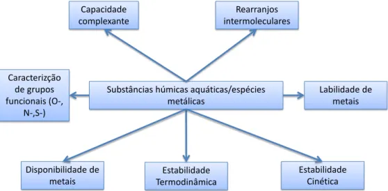 Figura 2-11 - Fatores a serem considerados na caracterização de espécies húmicas e metais