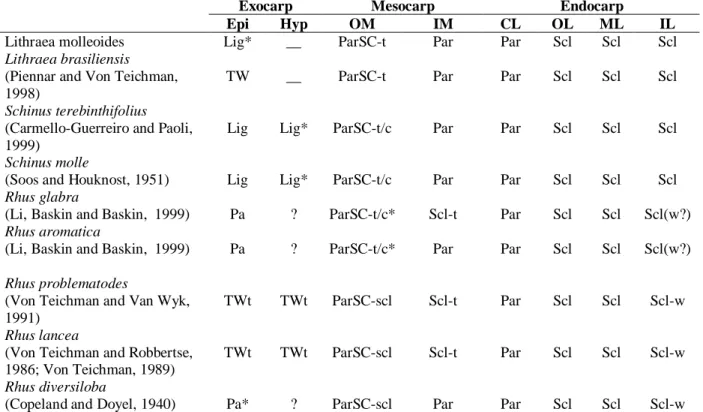 Table 1 - Comparison of the anatomical characters of the exo-, meso- and endocarp in Lithraea, Schinus and Rhus species.