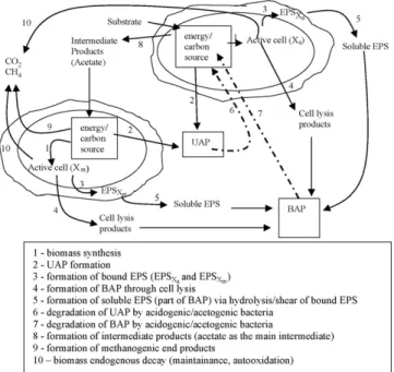 Fig. 1. Schematic of electron flow from original substrate.
