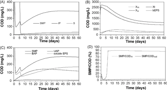 Fig. 3. Model output for steady-state conditions using parameter values presented in Table 1.