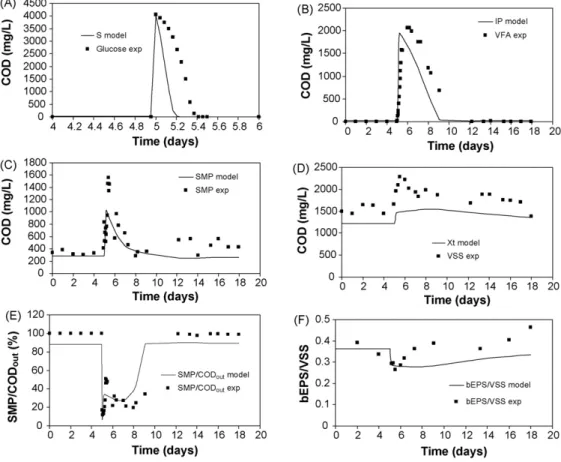 Fig. 4. Simulation of organic shock load by a sudden glucose spike on day 5 (continuous line) and experimental data (square dots).