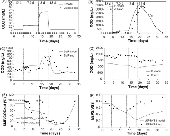 Fig. 5. Simulation of hydraulic shock load by changing the HRT to 7.5 d on day 5 and then to 3 d on day 14 (continuous line) and experimental data (square dots).
