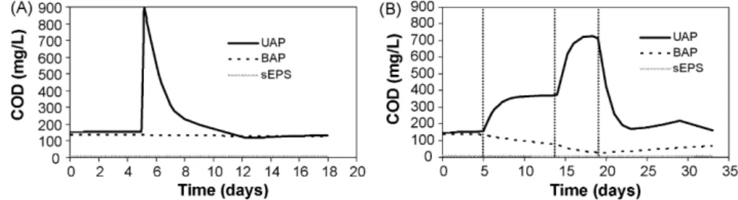 Fig. 6. Model output of the composition of SMP during the organic (A) and hydraulic (B) shock loads.