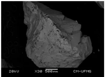 Fig. 1. Backscattered electron image (BSI) of an olmiite crystal aggregate up to 3.0 mm in length.