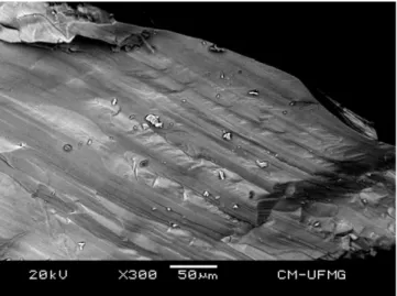 Fig. 1. Backscattered electron image (BSI) of a weloganite crystal up to 0.5 mm in length.
