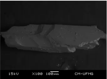 Fig. 1. Backscattered electron image (BSI) of a hydroboracite single crystal up to 1.0 mm in length.