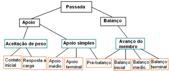 Figura 1.13 – Divisões do ciclo da marcha (adaptado de PERRY, 2005) 