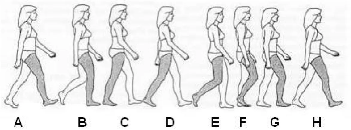Figura 1.14 – Fases da marcha: A) contato inicial; B) resposta à carga; C) apoio médio; D) apoio terminal; E)  pré-balanço; F) balanço inicial; G) balanço médio; H) balanço terminal (adaptado de Queen´s University, Canadá  – Departamento de Mecânica e Enge