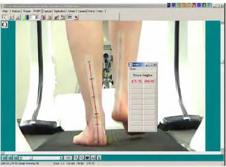 Figura 1.18 - Imagem analisada no software Quintic Player ® (Fonte: http: www.quintic.com) 