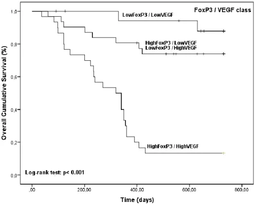 Figure  6 - Kaplan-Meier OS  curves comparing  FoxP3/VEGF categories in 80 dogs  with malignant mammary tumors