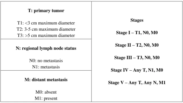 Table 2 - Canine mammary tumor staging - modified WHO. 