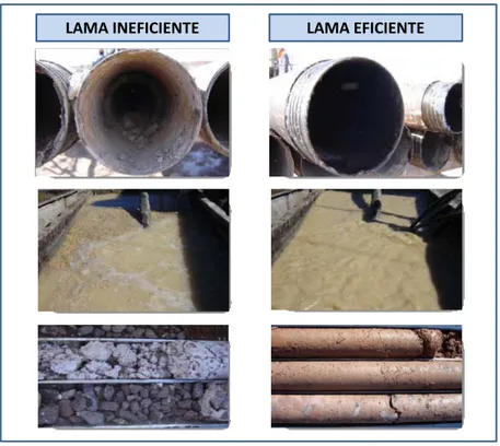 Figura 22. Representação das diferenças entre lama ineficiente e lama eficiente. Fonte: 