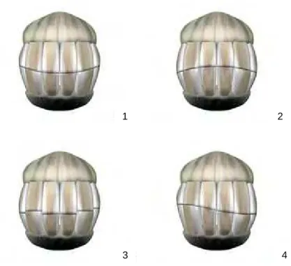 Figura  1.  Ilustração  das  alterações  oclusais  dos  incisivos:  1-curvatura  ventral,  2-curvatura  dorsal,  3- 3-irregular ou em escada 4-diagonal (DIGITAL EQUUS, 2003)