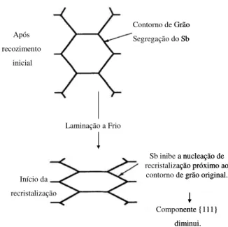 Figura 3.6 – Mecanismo de melhoria da textura com a adição de Sb (Takashima et al., 1993)