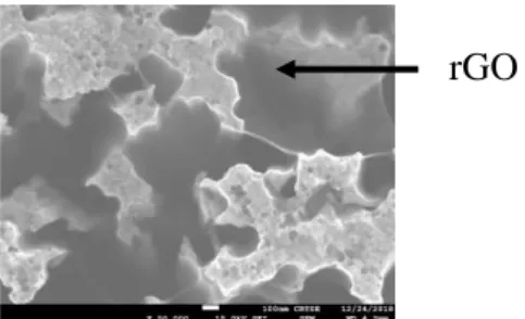 Figure 1: Typical plane view SEM image of the SiNWs/rGO  sample 