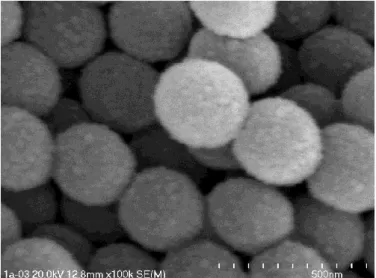 Figure 1 SEM image of particles obtained from TEOS/VES 4:1 mixture  References 