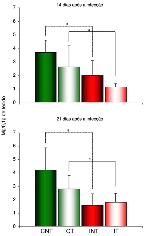 Gráfico 3 - Média da quantidade de ferro no fígado realizada no 14 o  e 21 o  dia após a  infecção em camundongos Swiss pertencentes aos grupos controle não-tratado (CNT),  controle tratado (CT), infectado não-tratado (INT) e infectado tratado (IT)