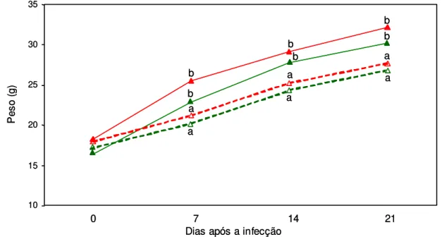 Gráfico 6 - Média do peso corporal dos camundongos Swiss antes da infecção e aos 7,  14 e 21 dias após a infecção nos grupos controle não-tratado (  ), controle tratado (  ),  infectado  não-tratado  (  )  e  infectado  tratado  (  ).