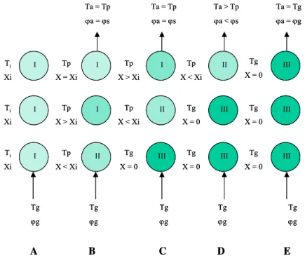 Figura 3.8 - Variação do conteúdo de água numa camada de pelotas cruas durante a secagem