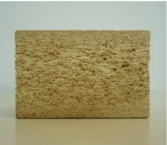 Figure 1.9. Internal section of particleboard made from Populus spp. wood. 