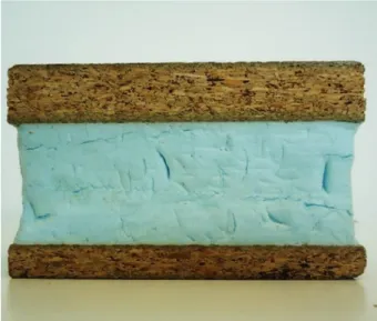 Figure  1.14  shows  a  board  with  a  foam  core.  There  are  several  methods  for  manufacturing a sandwich panel with foam core