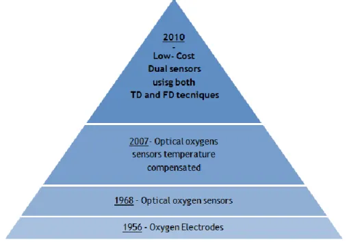 Figure  14  (Bergman  1968;  Fatt  1968;  Kocincova  et  al.  2007)  shows  schematically  the  evolution of the equipments to measure the oxygen concentration
