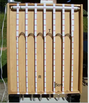 Figura 9  –  Caixa utilizada para o teste de atividade locomotora. E= entradas individuais; R= 